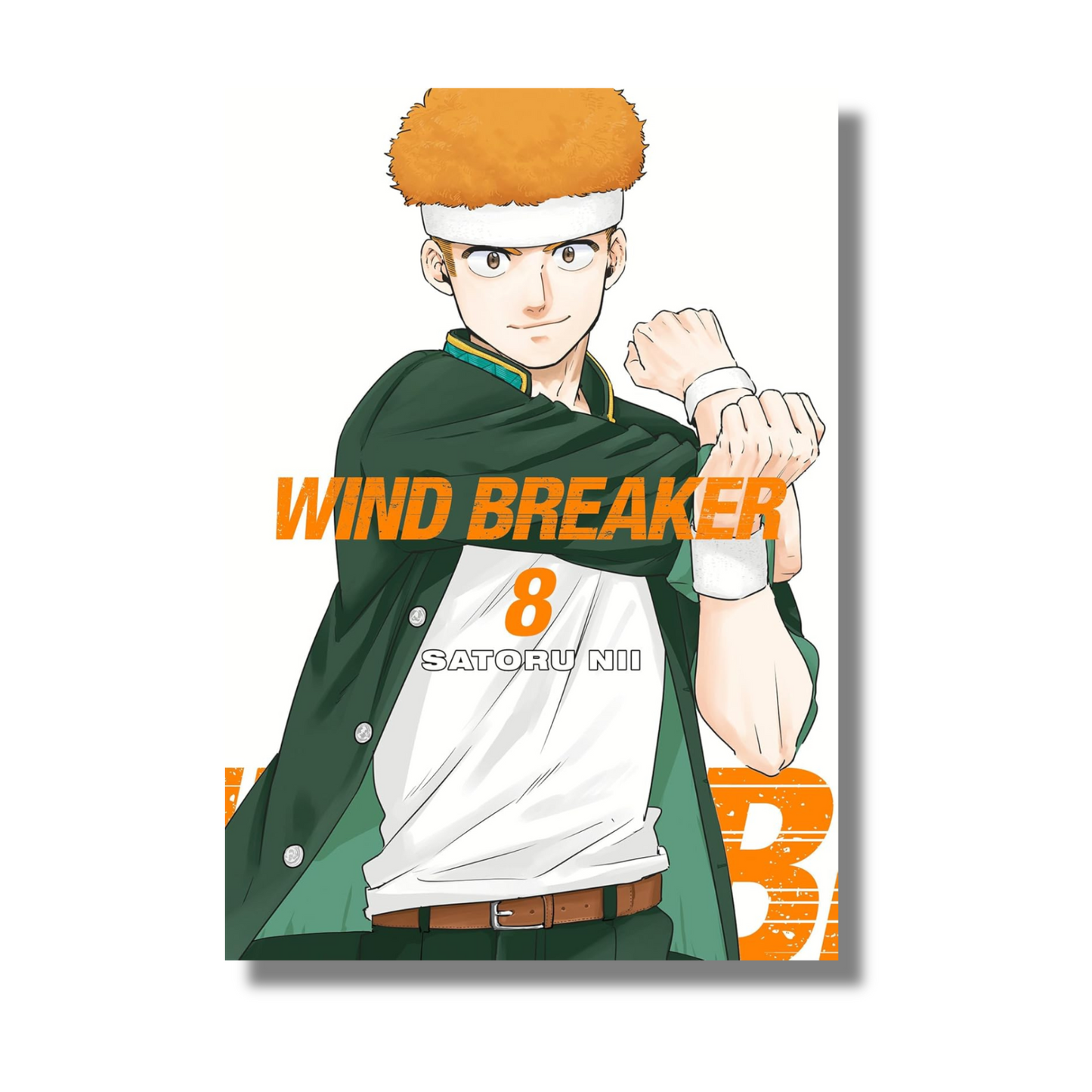Wind Breaker Vol 8