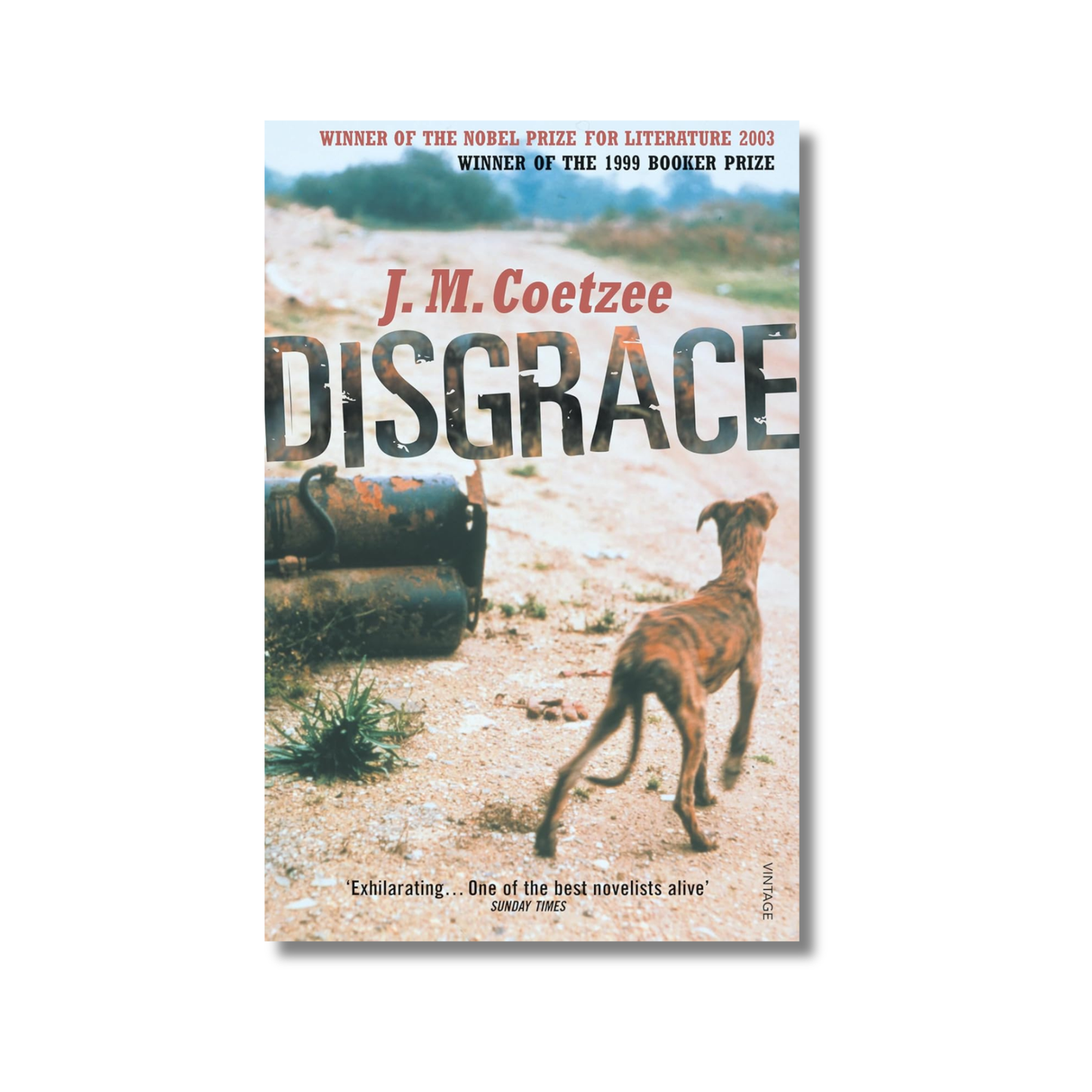 Disgrace