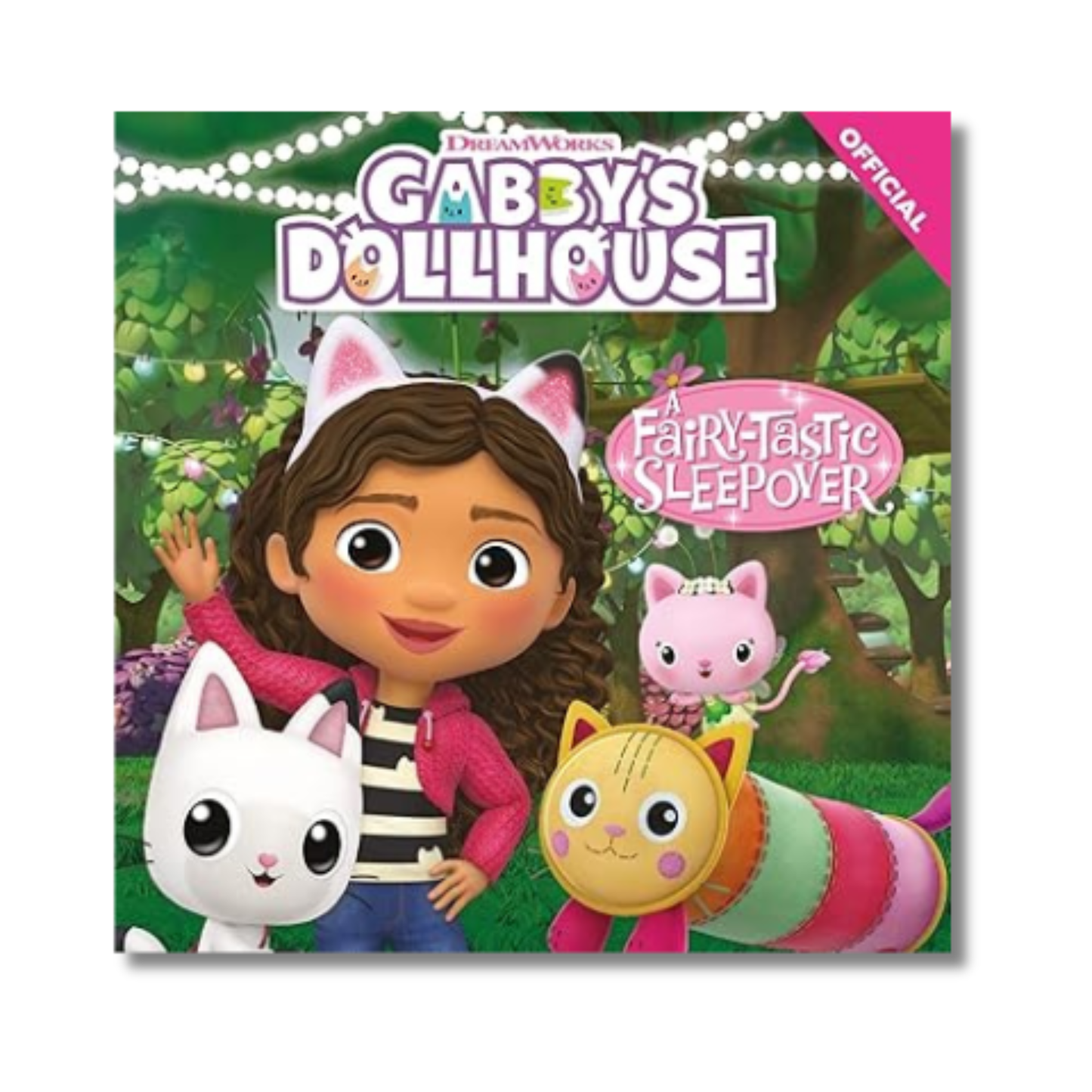 DreamWorks Gabby's Dollhouse used book front cover