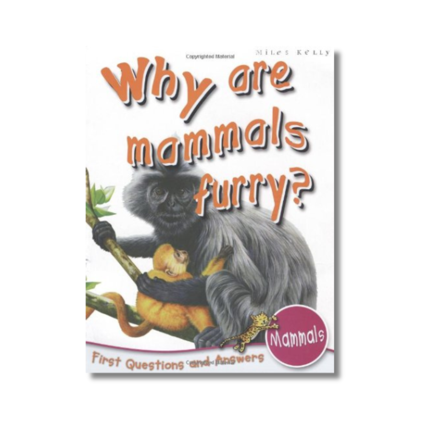 Why Are Mammals Furry?