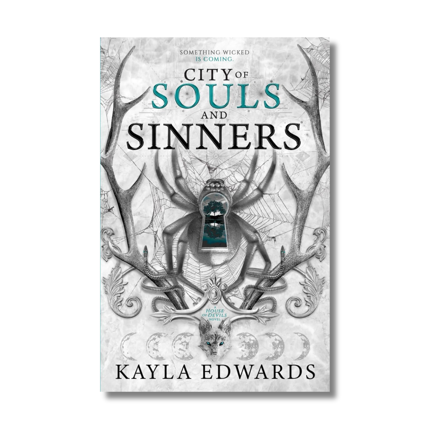 City of Souls and Sinners: House of Devils Series #2 book cover