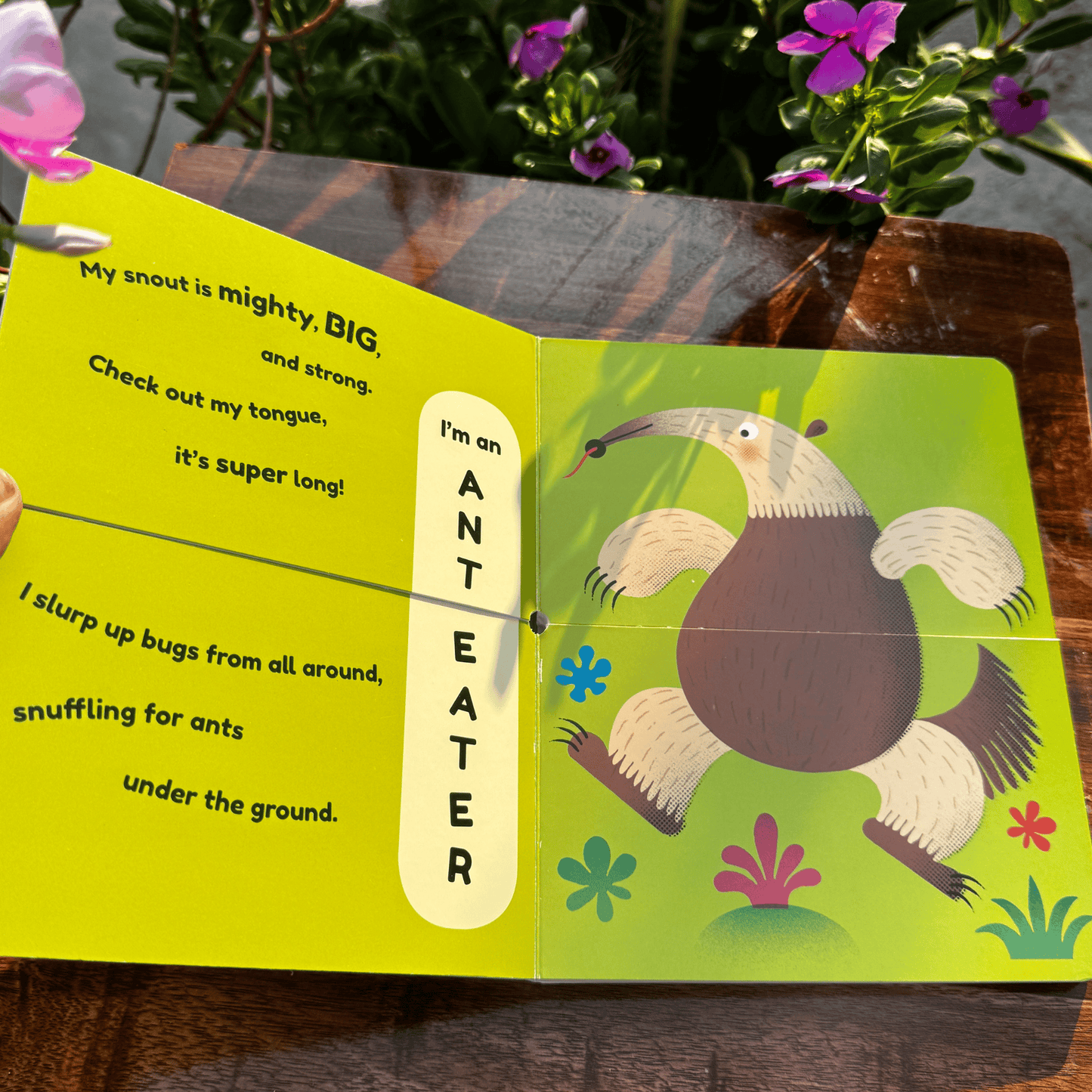 It's Not My Bottom In The Jungle