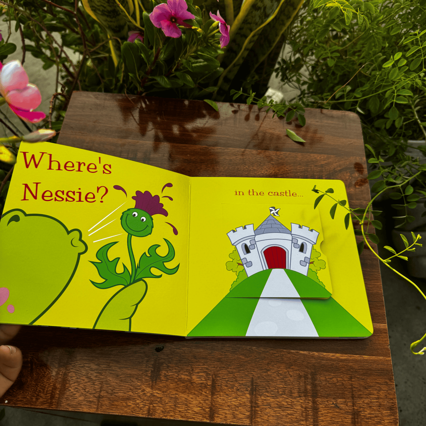 Where's Nessie - Lift the Flap