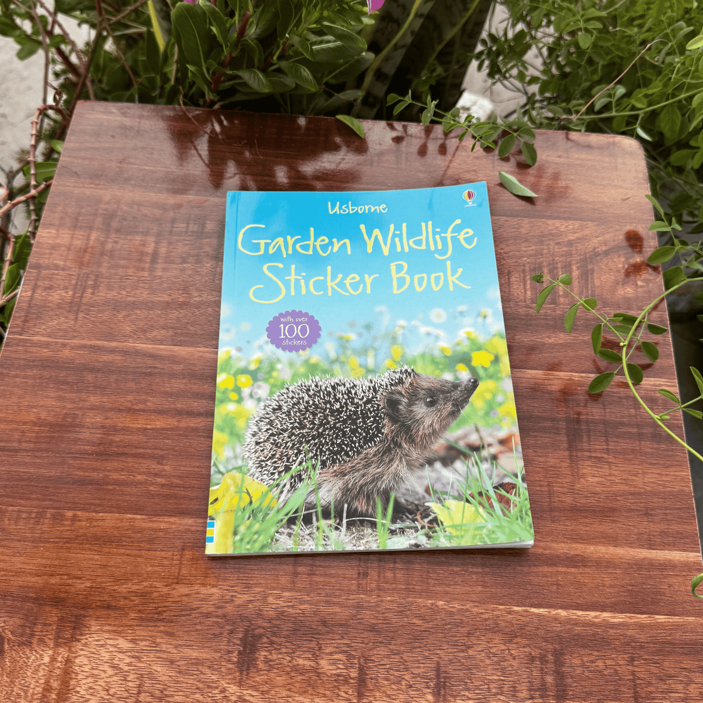Garden Wildlife Sticker Book