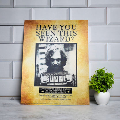 Harry Potter Wanted Poster – Sirius Black & Undesirable No. 1 (Dual-Design) | Premium A3 Wall Poster
