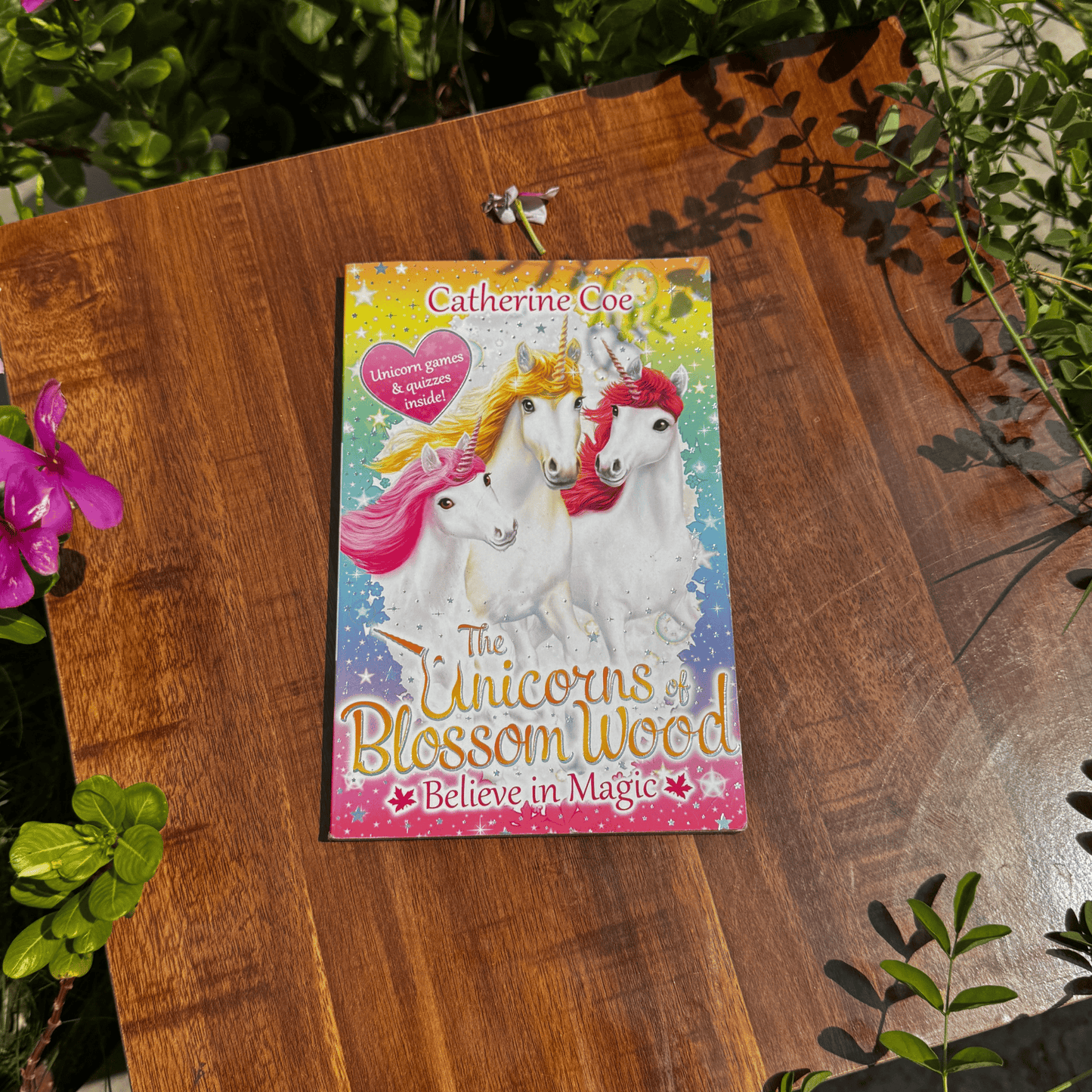 Unicorns Of Blossom Wood 1 Believe Magic