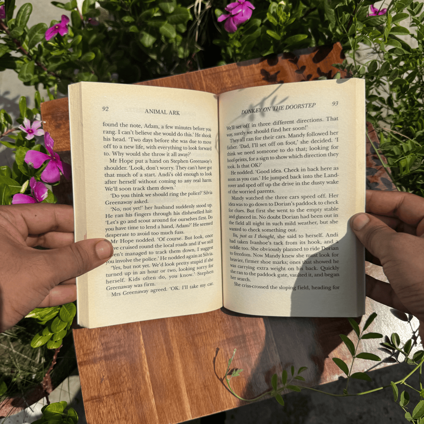 Donkey on the Doorstep (Animal Ark, No. 12)