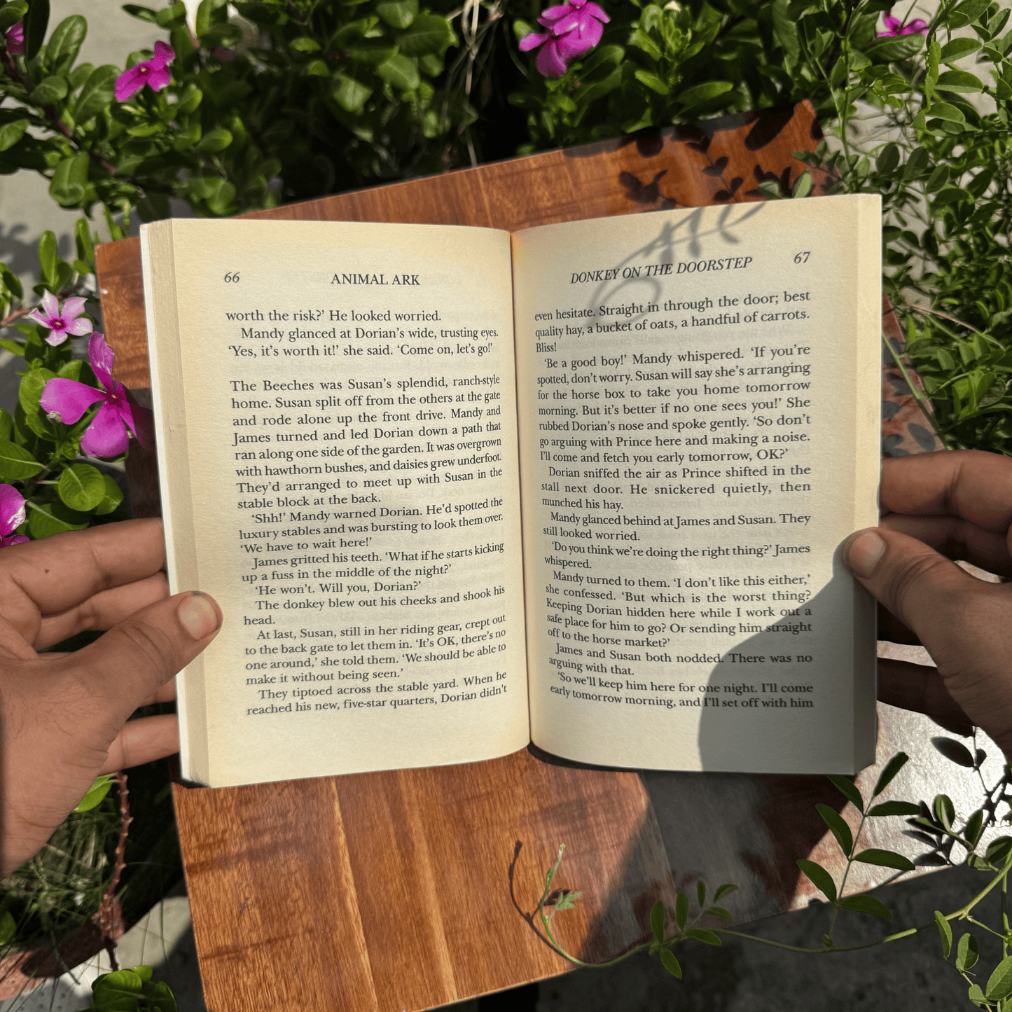 Donkey on the Doorstep (Animal Ark, No. 12)