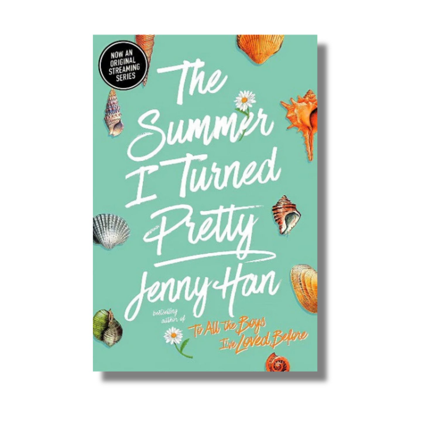 [Combo] The Summer I Turned Pretty: 3 Books