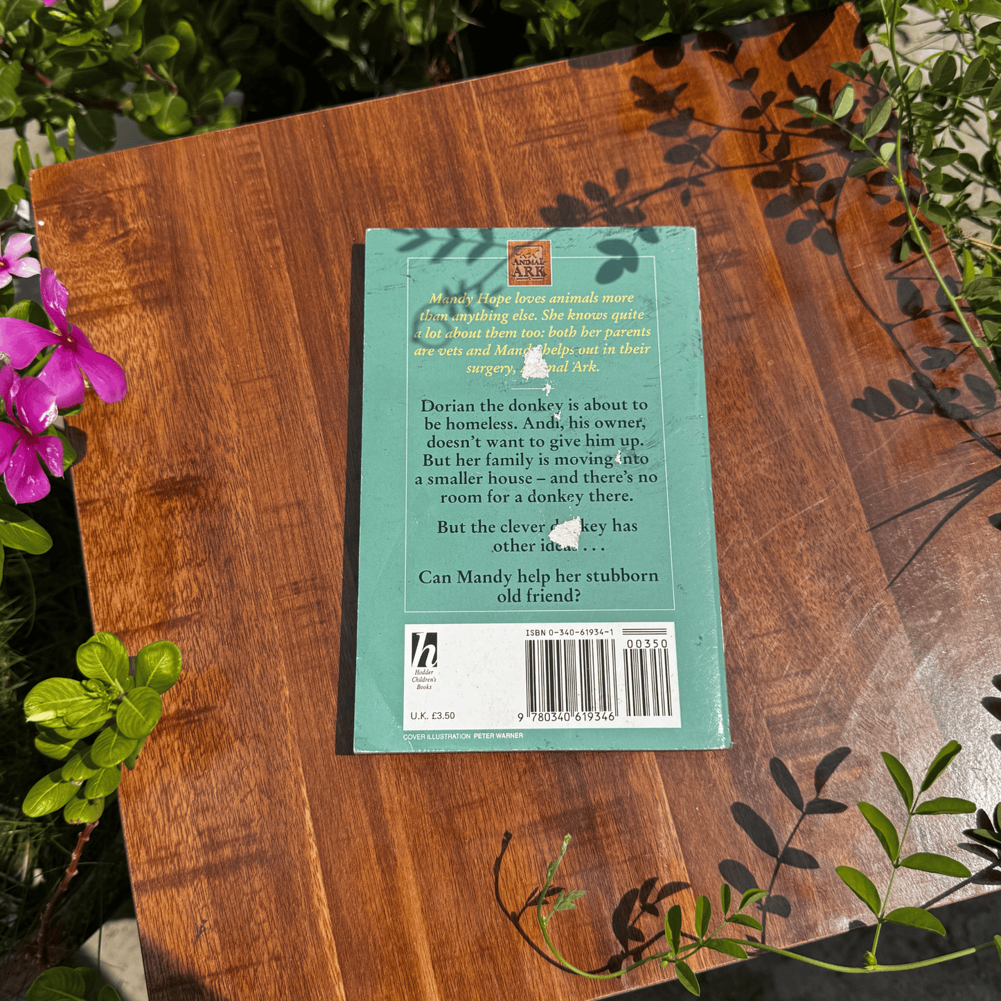 Donkey on the Doorstep (Animal Ark, No. 12)