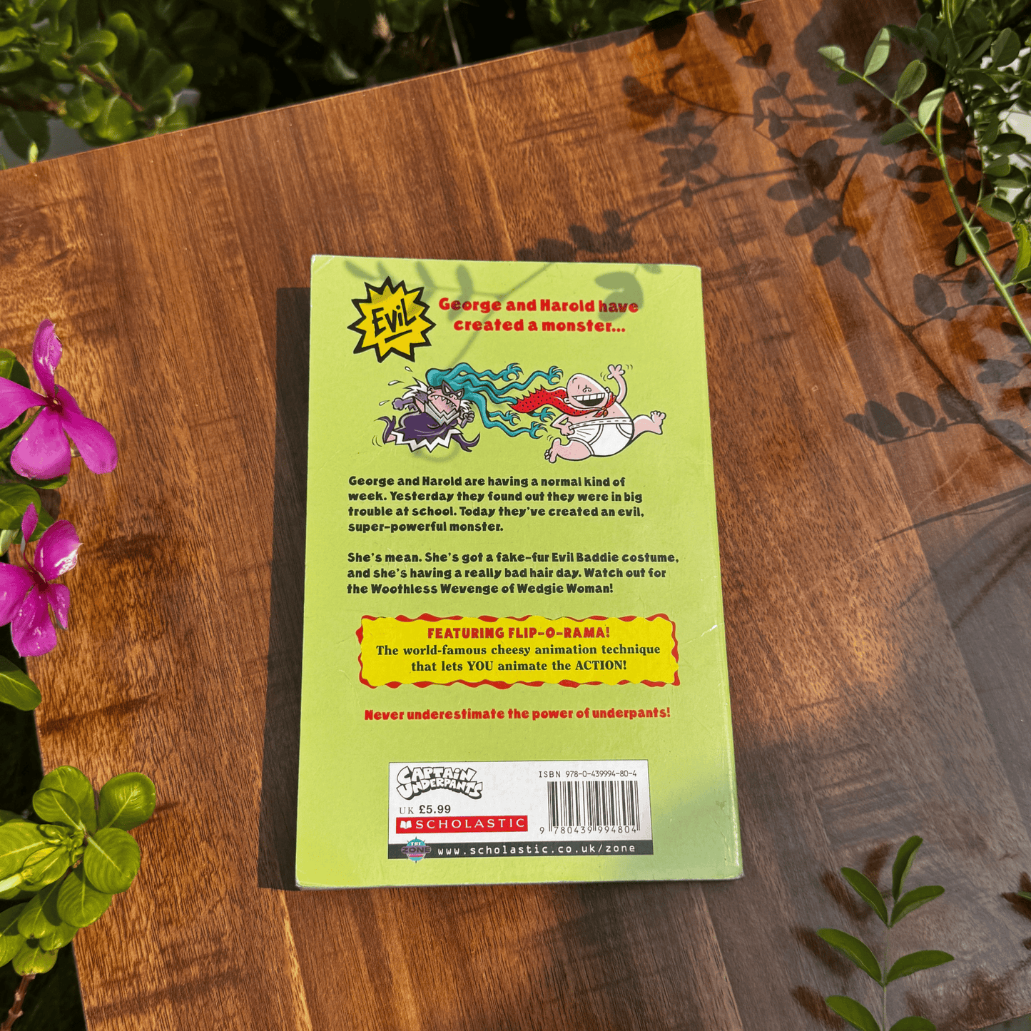 Captain Underpants and the Wrath of the Wicked Wedgie Woman (Captain Underpants)