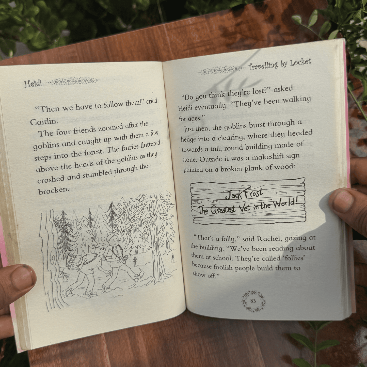 Rainbow Magic Heidi The Vet Fairy