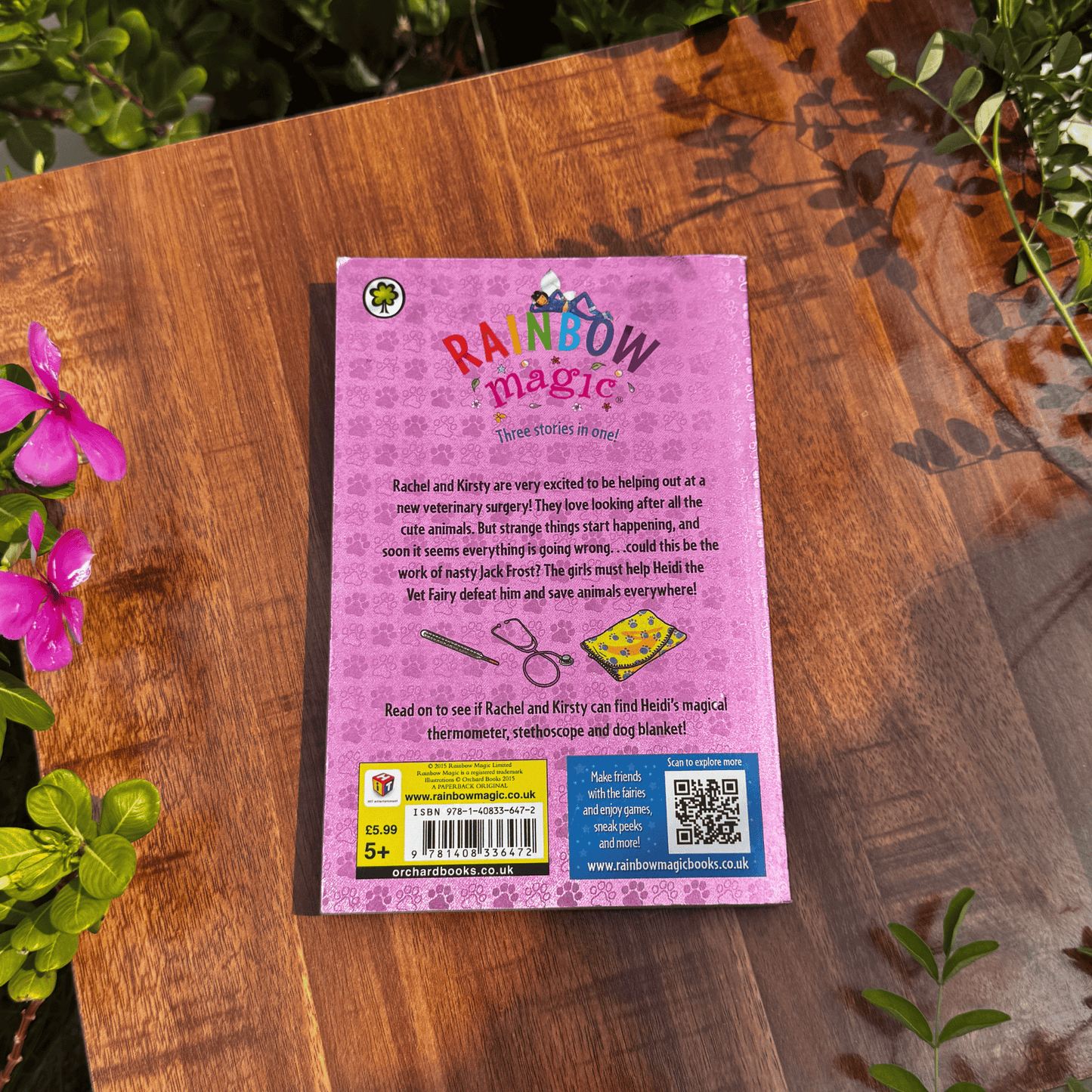 Rainbow Magic Heidi The Vet Fairy