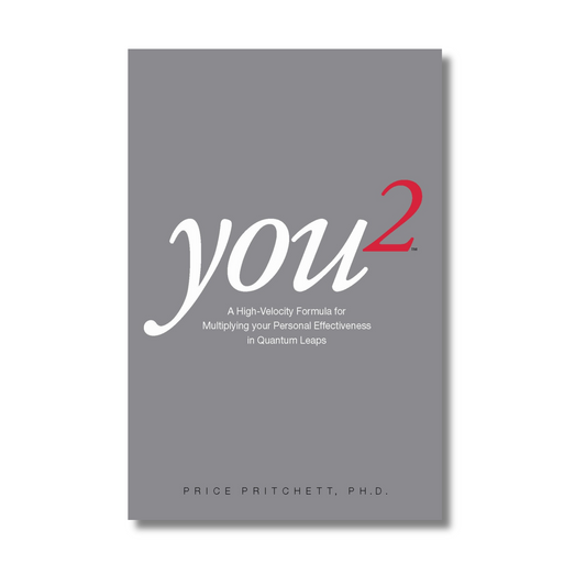You 2 By Price Pritchett (Paperback)