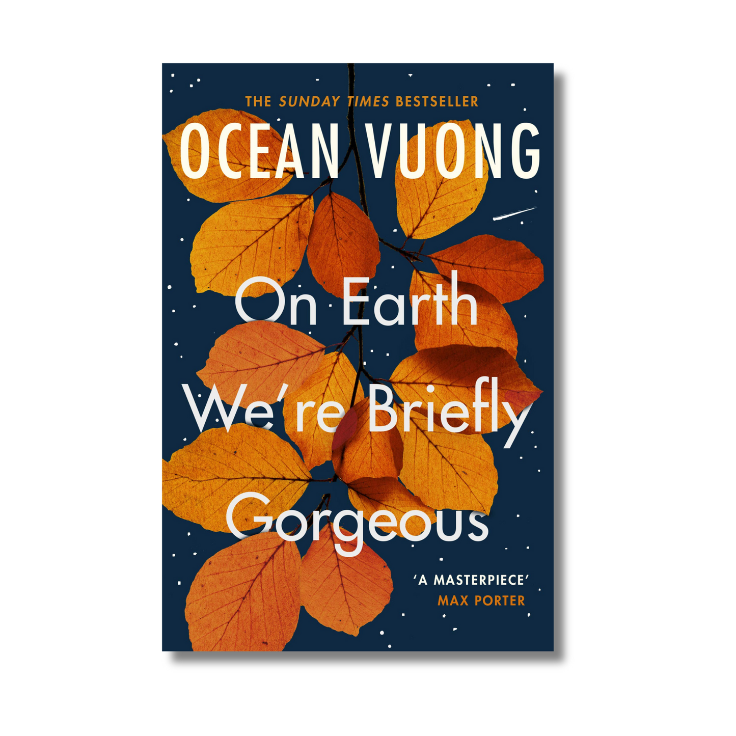 On Earth We’re Briefly Gorgeous By Ocean Vuong (Paperback)