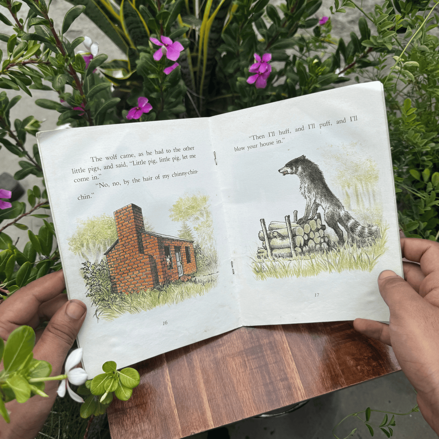 The Three Little Pigs