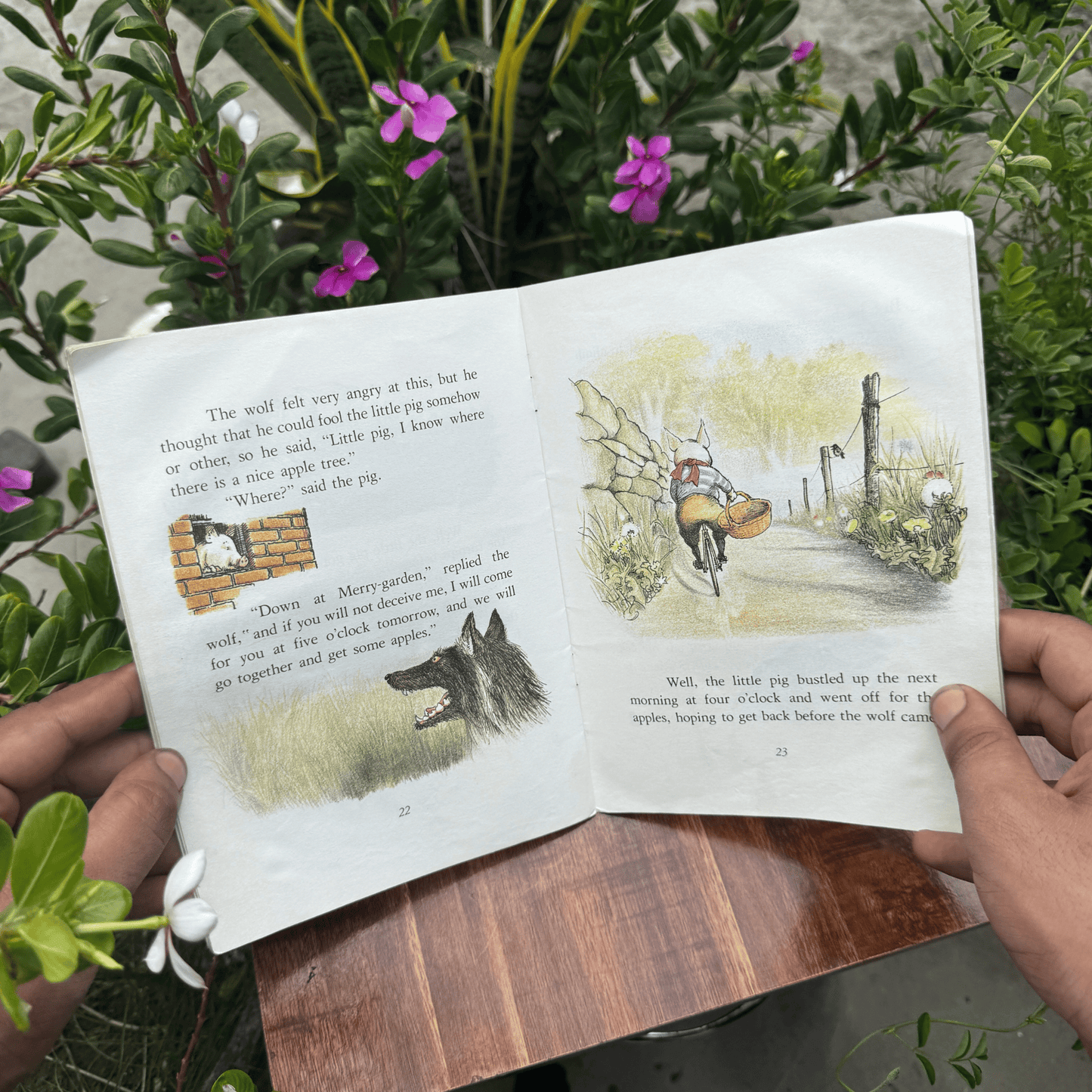 The Three Little Pigs