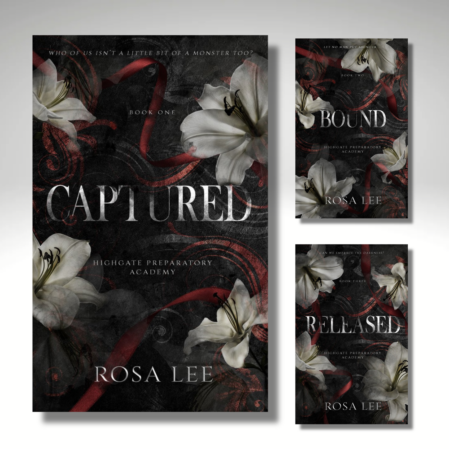 [Combo] Highgate Preparatory Academy Series Vol 1-3