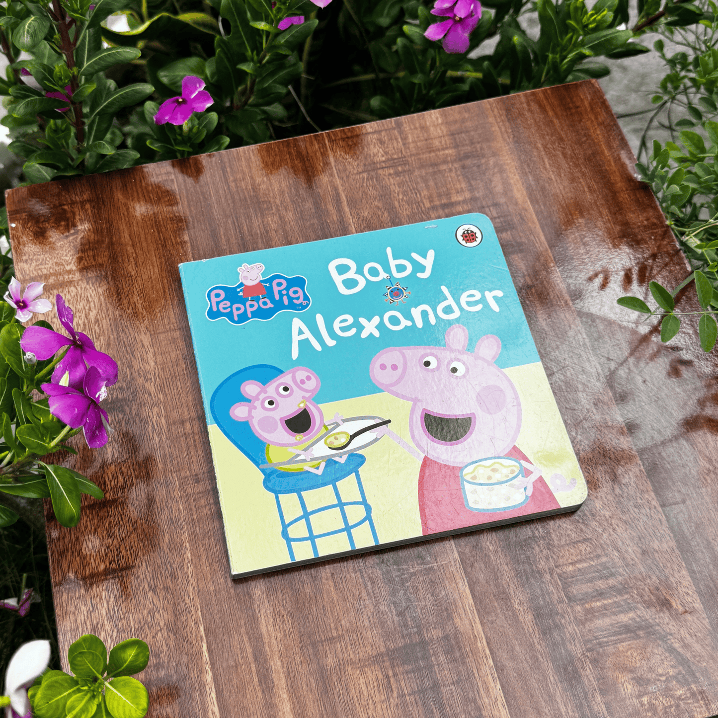 Peppa Pig: Baby Alexander - 5 - 6 Anos