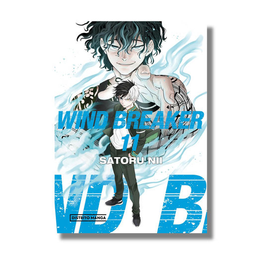Wind Breaker Vol 11