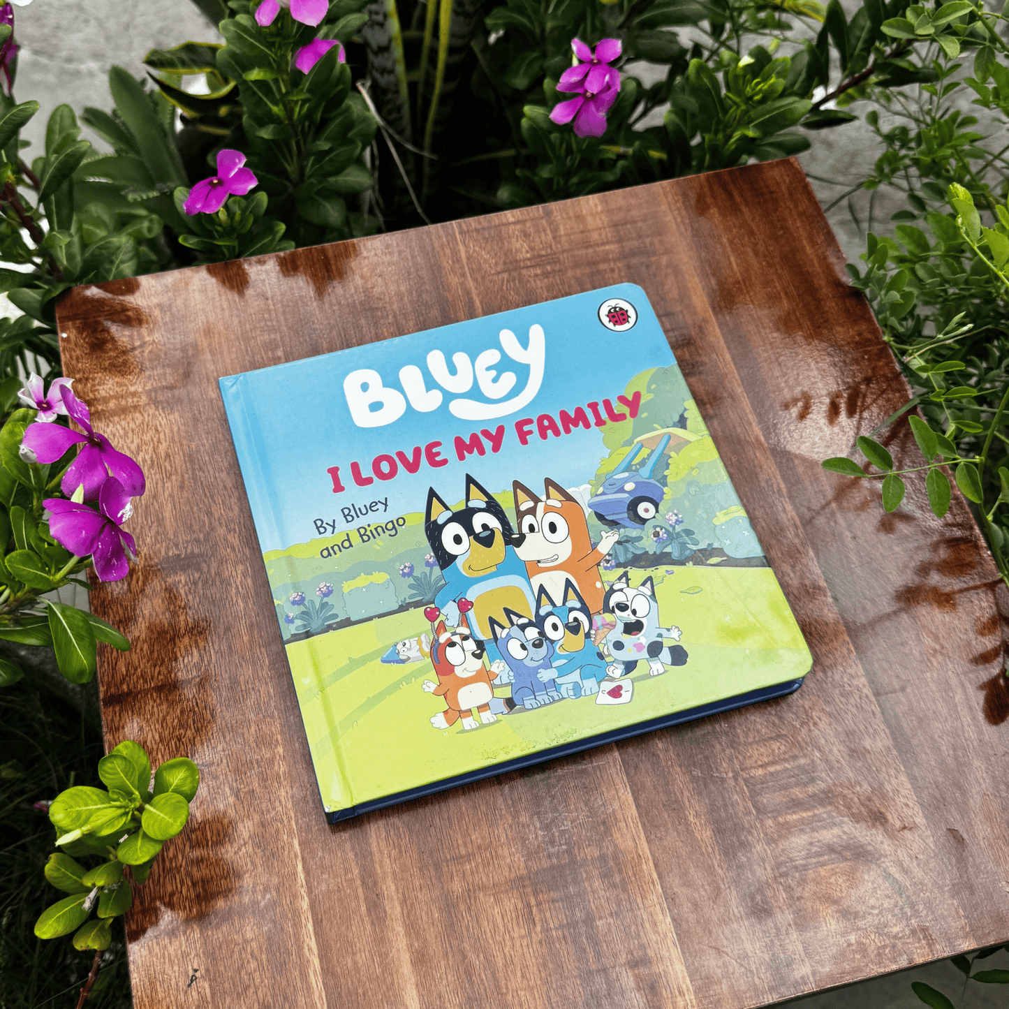 Bluey: I Love My Family