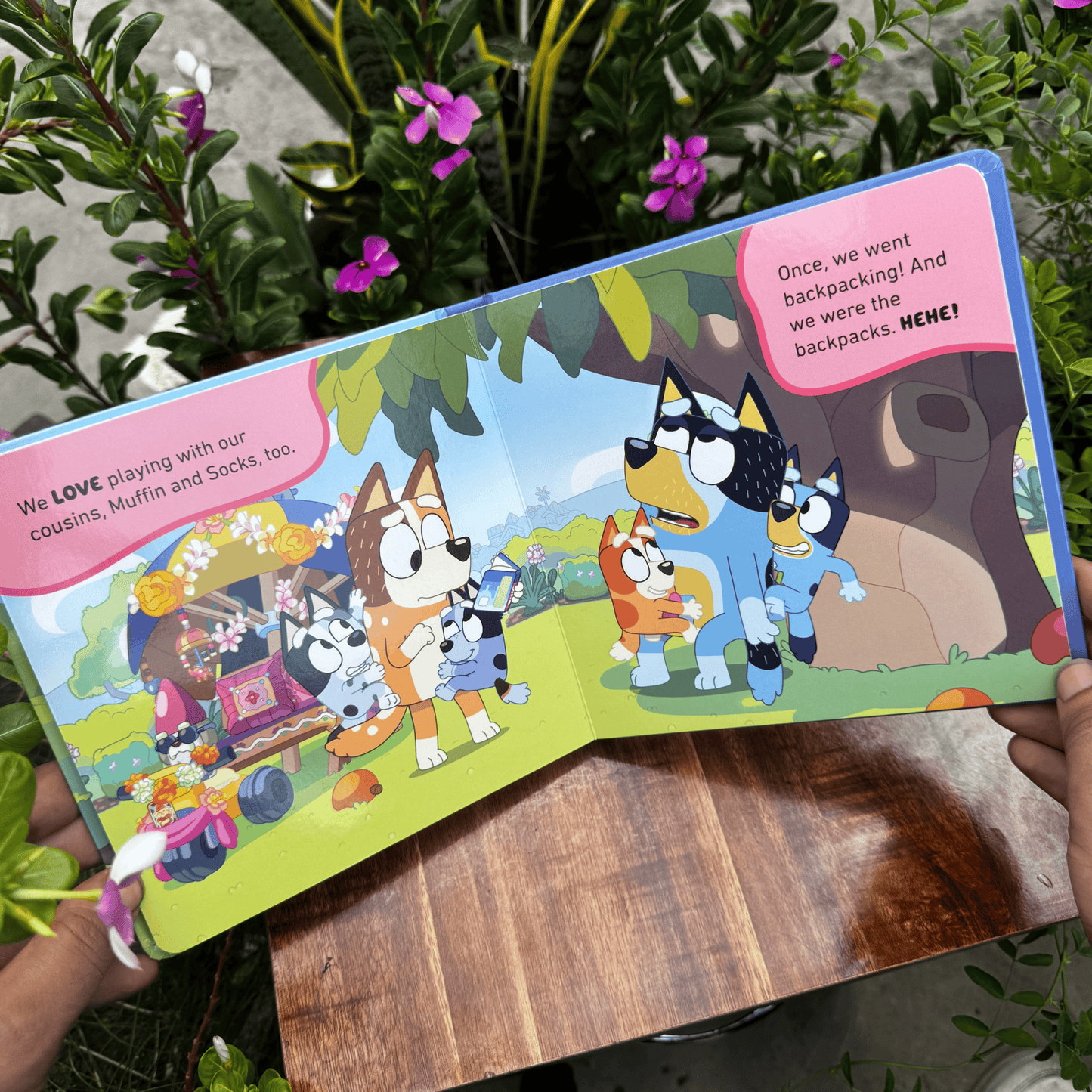 Bluey: I Love My Family