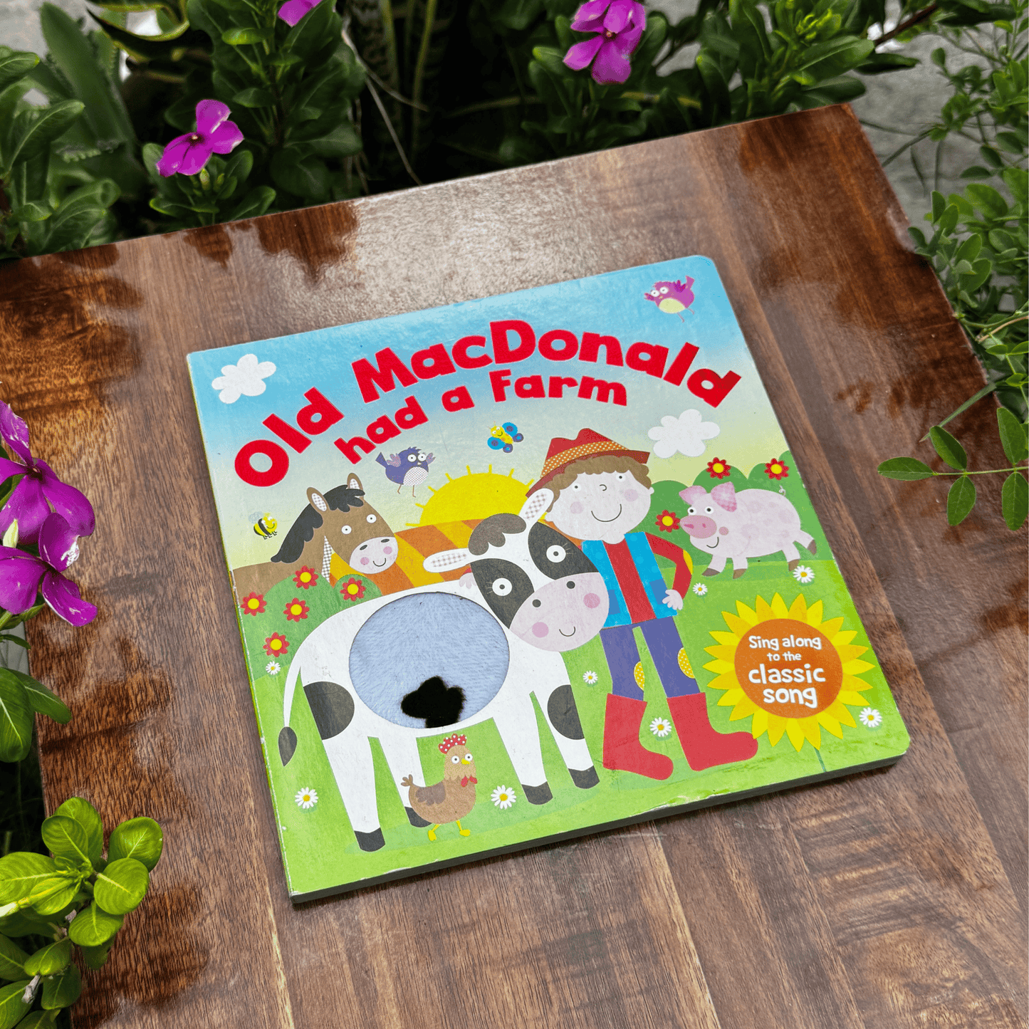 Old Mac Donald Had A Farm