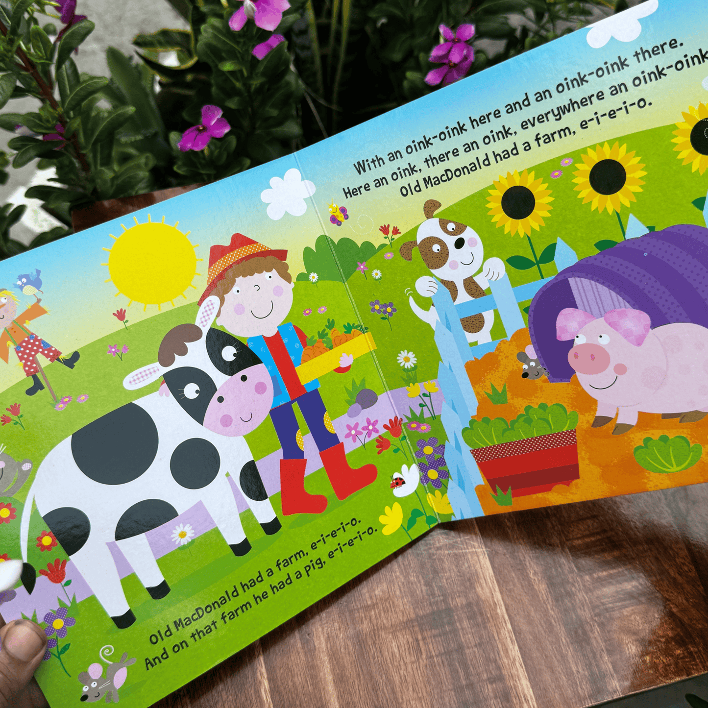 Old Mac Donald Had A Farm