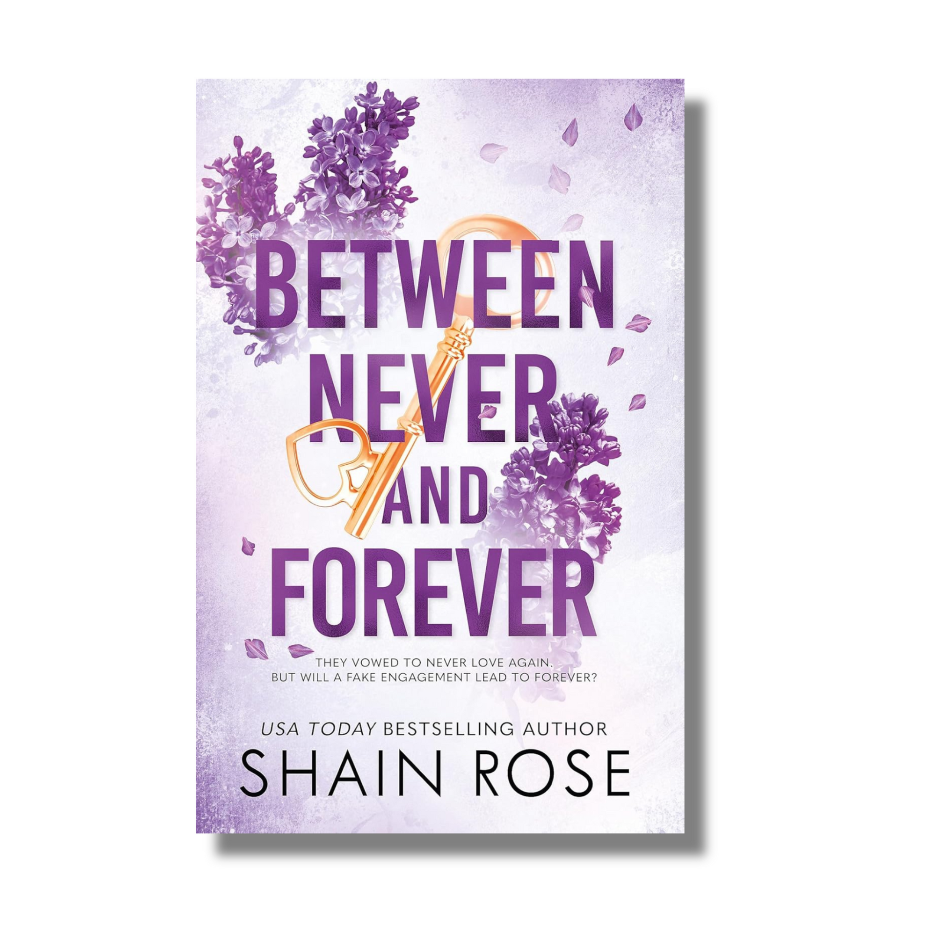 Between Never and Forever book cover