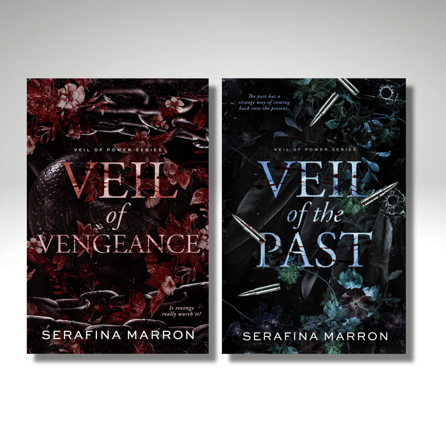 [Combo] Veil of Power Duology Vol 1-2