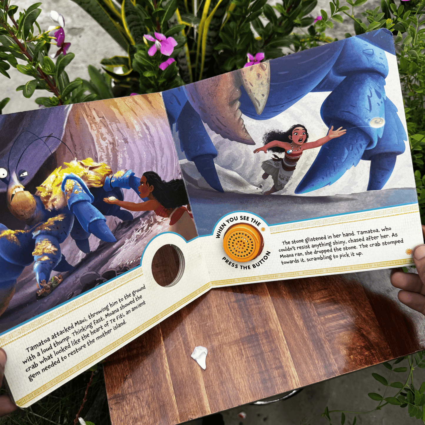 Disney Moana Story Sounds