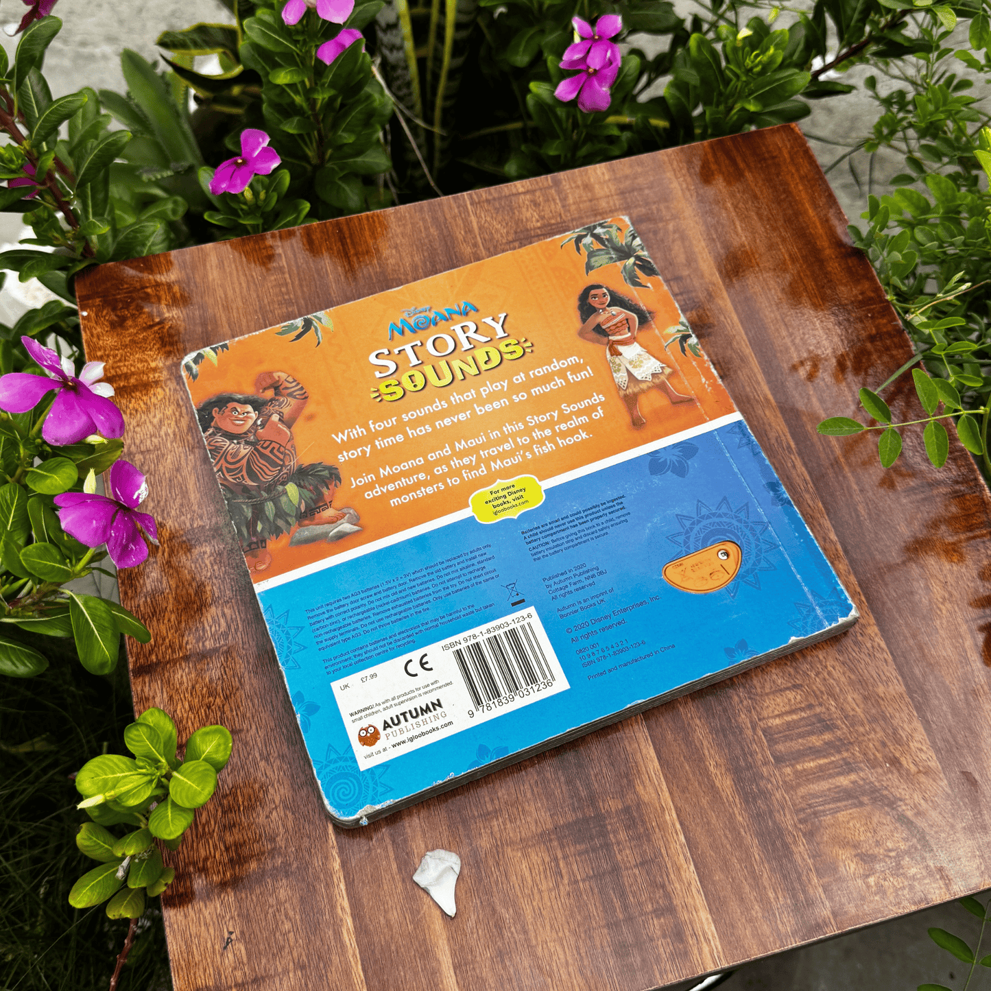 Disney Moana Story Sounds