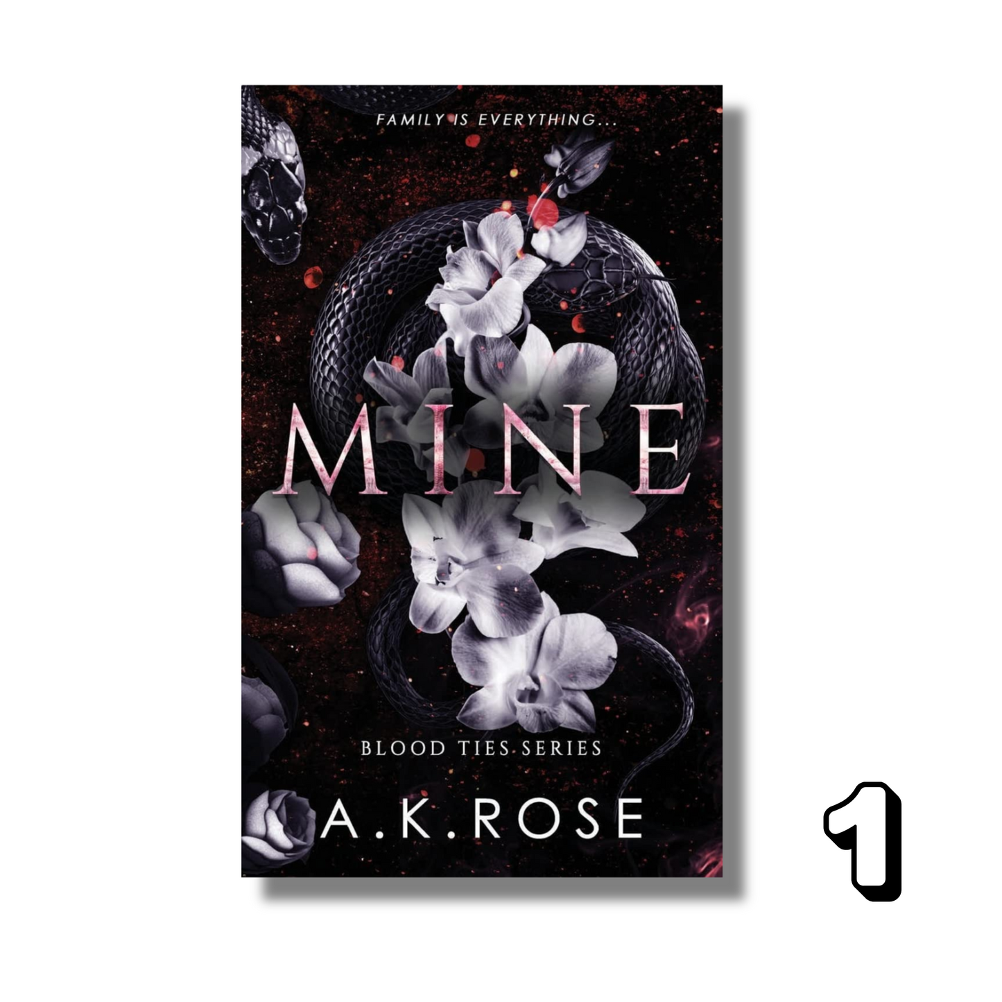 [Combo] Blood Ties Secrets: 9 Books