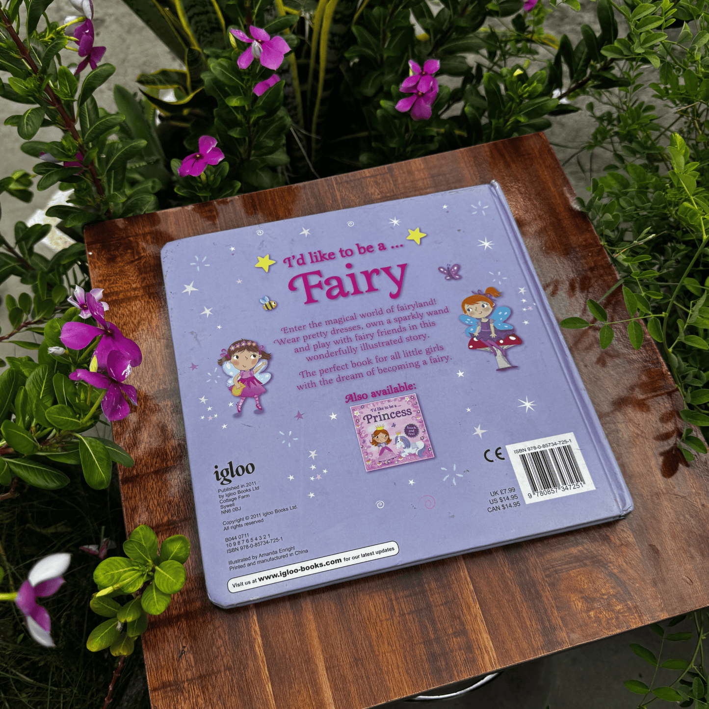 Fairy