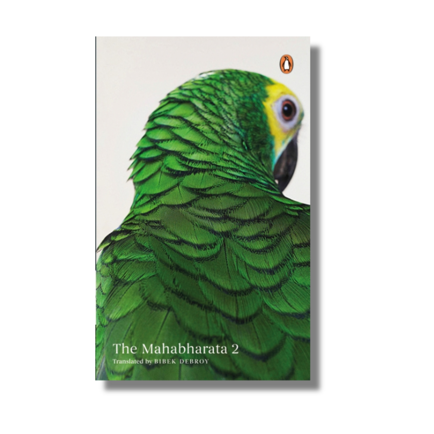 [Box Set] The Mahabharata: 10 Books box set - image 3