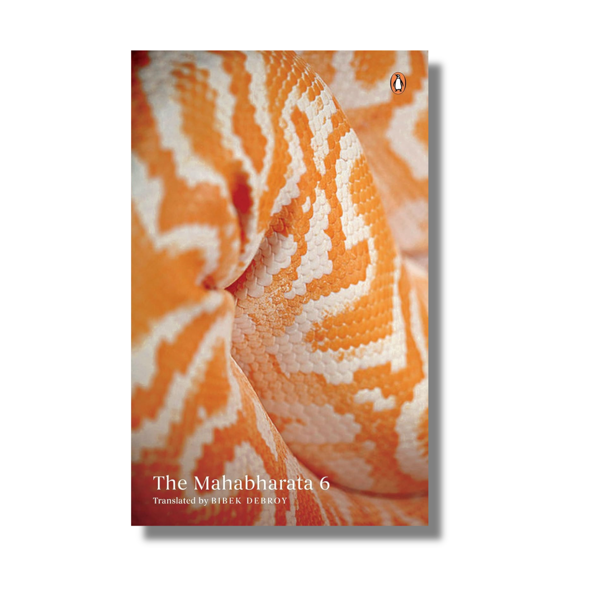 [Box Set] The Mahabharata: 10 Books box set - image 7