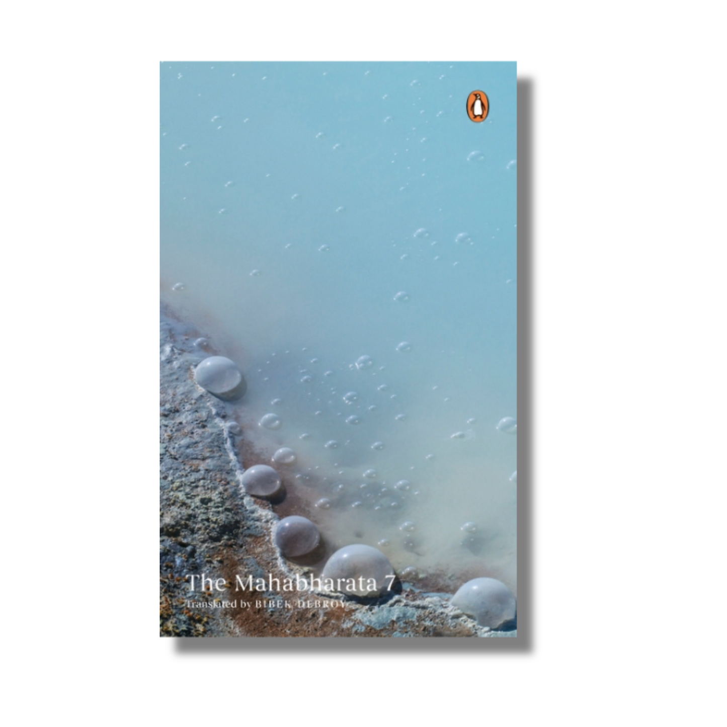 [Box Set] The Mahabharata: 10 Books box set - image 8