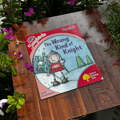 Oxford Reading Tree: Stage 4: Songbirds: the Wrong Kind of Knight