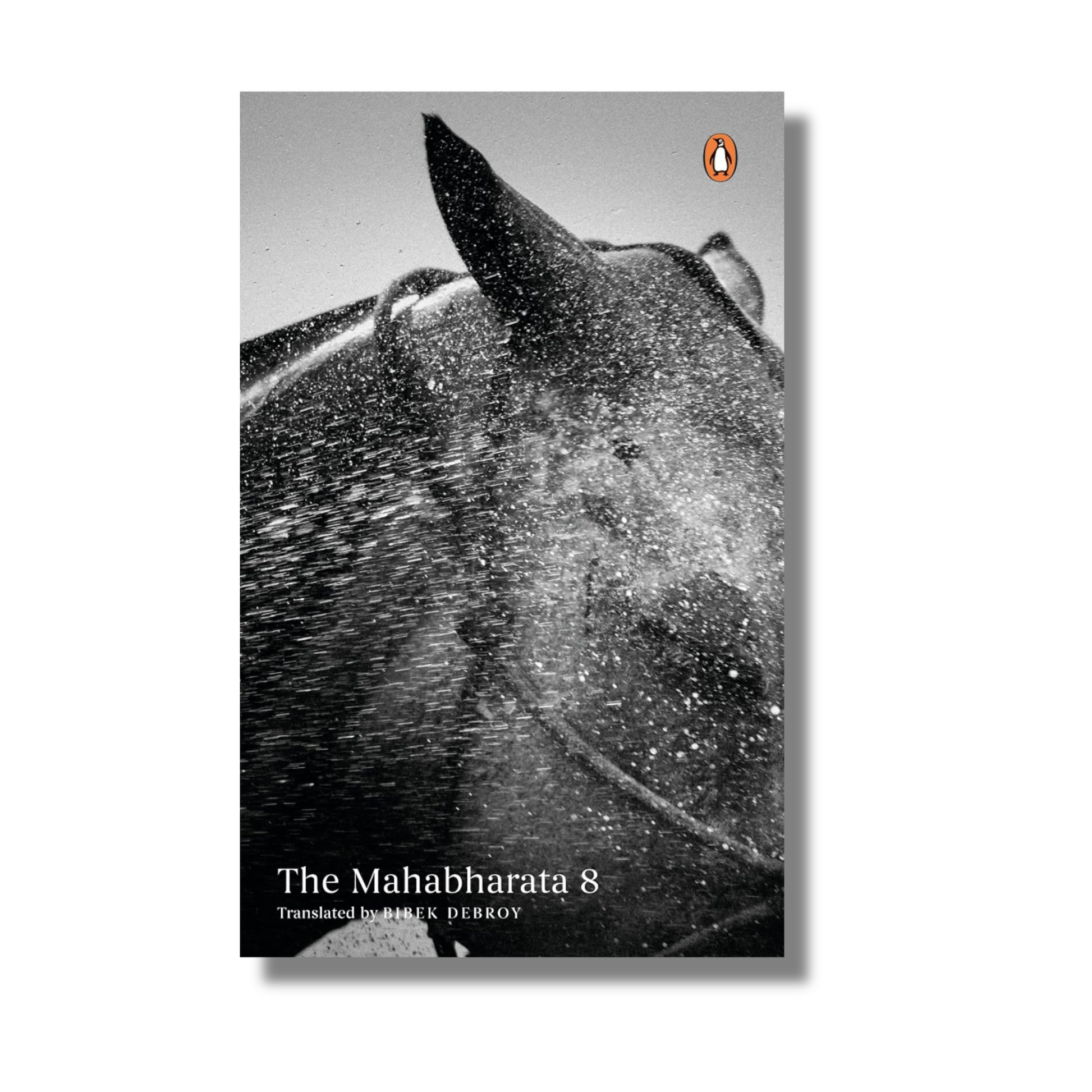 [Box Set] The Mahabharata: 10 Books box set - image 9
