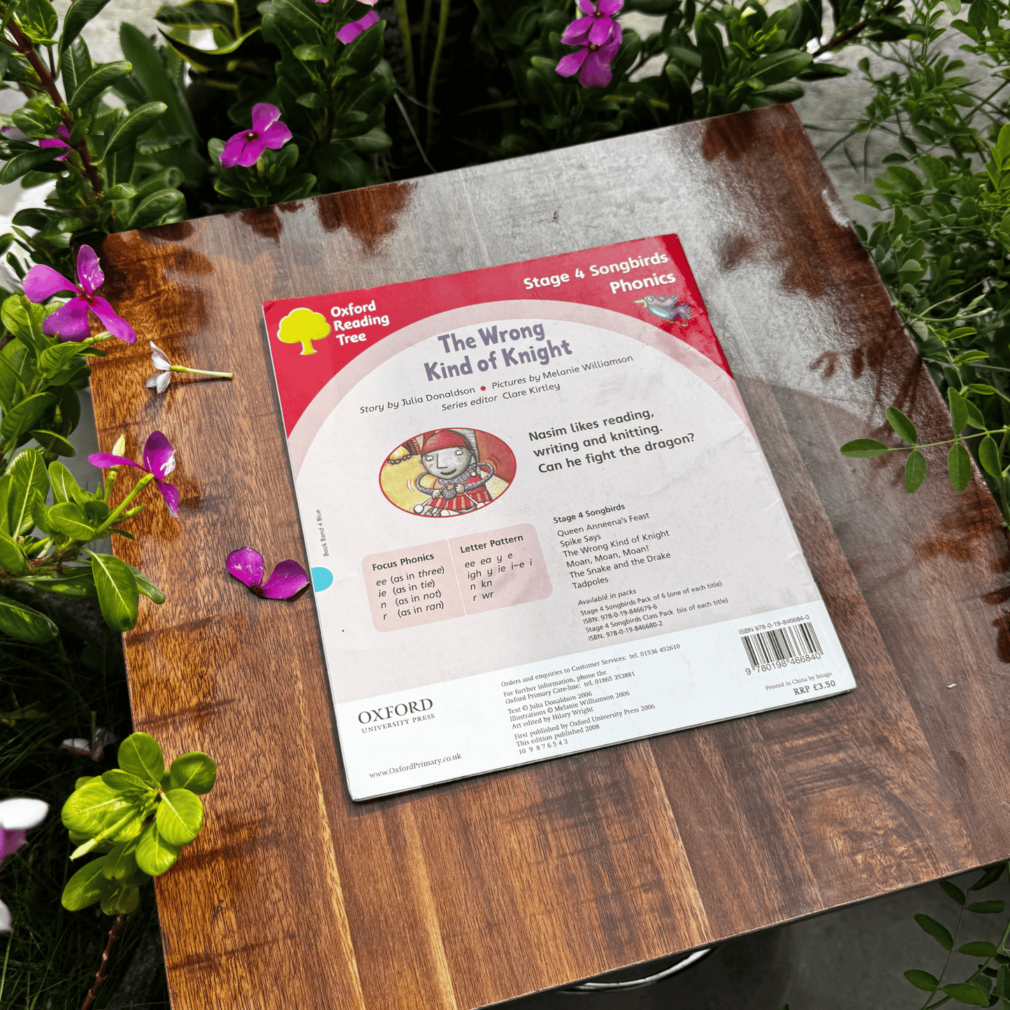 Oxford Reading Tree: Stage 4: Songbirds: the Wrong Kind of Knight