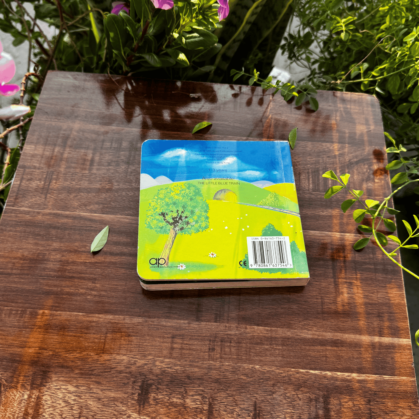 The Little Yellow Train