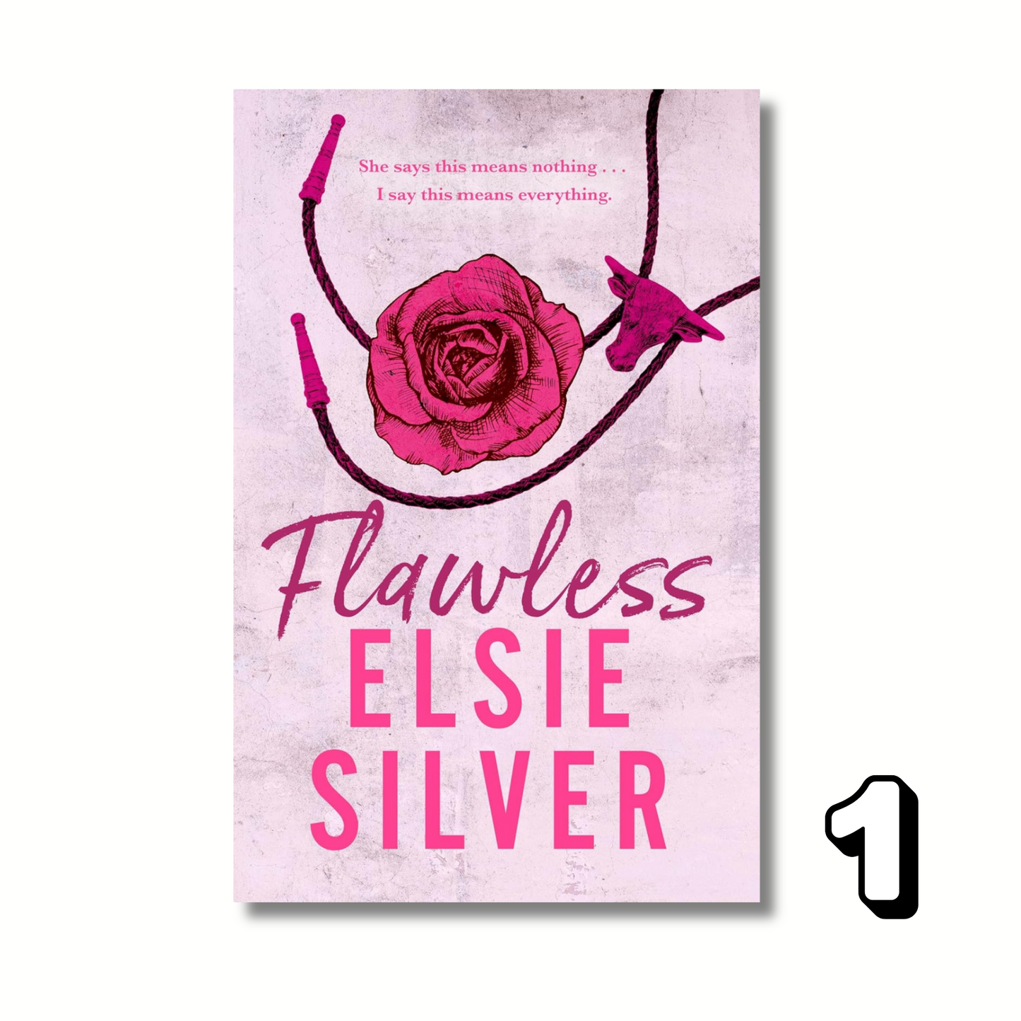 Chestnut Springs Combo: 5 Books By Elsie Silver (Paperback)