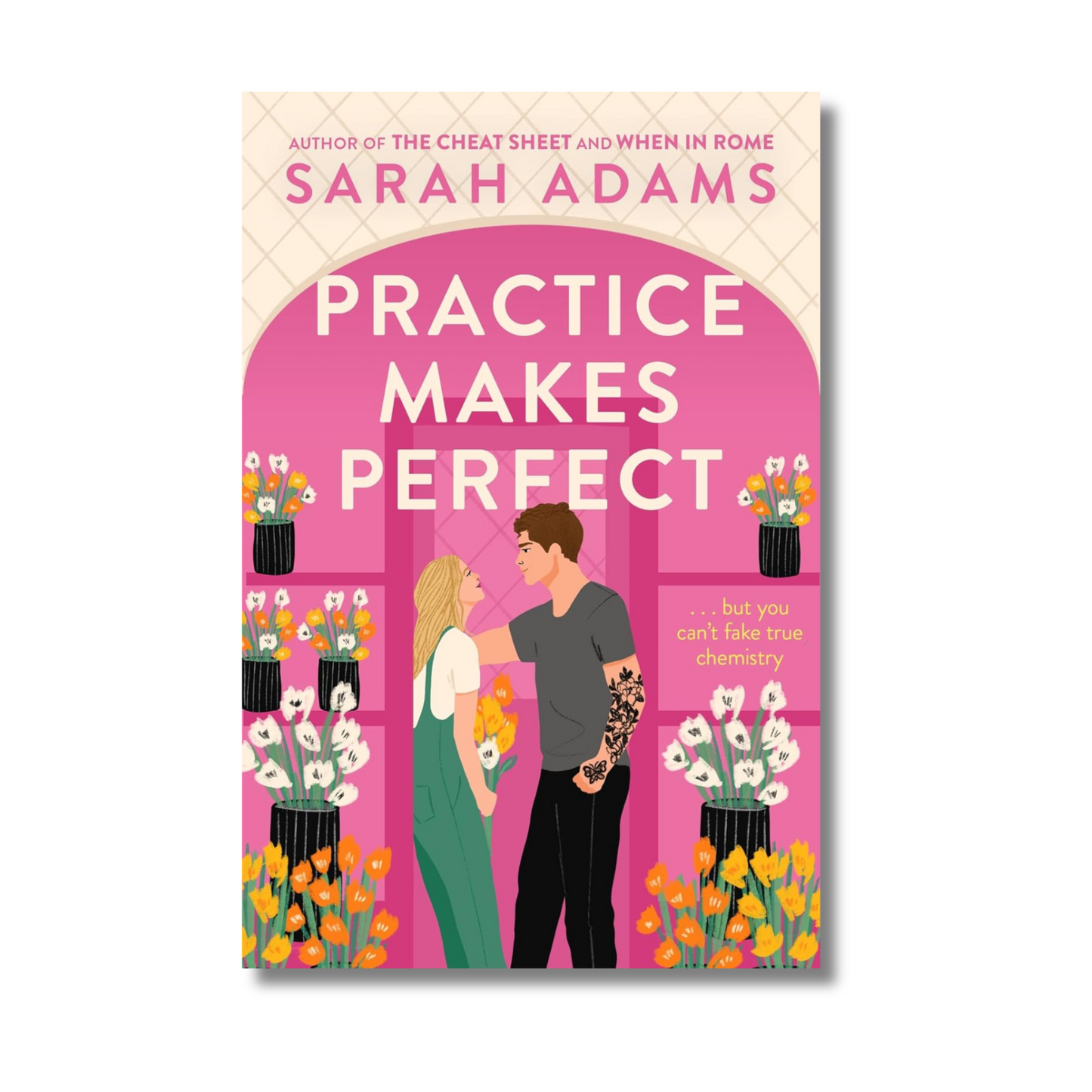 Practice Makes Perfect by Sarah Adams (Paperback)