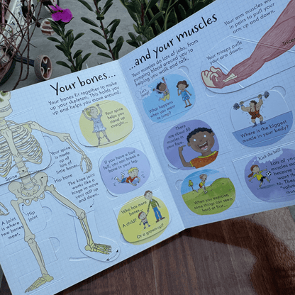 Look Inside Your Body