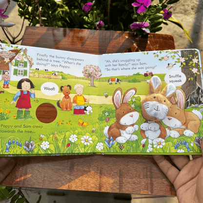 Poppy and Sam and the Bunny (Poppy and Sam Finger Puppet) (Farmyard Tales Poppy and Sam)