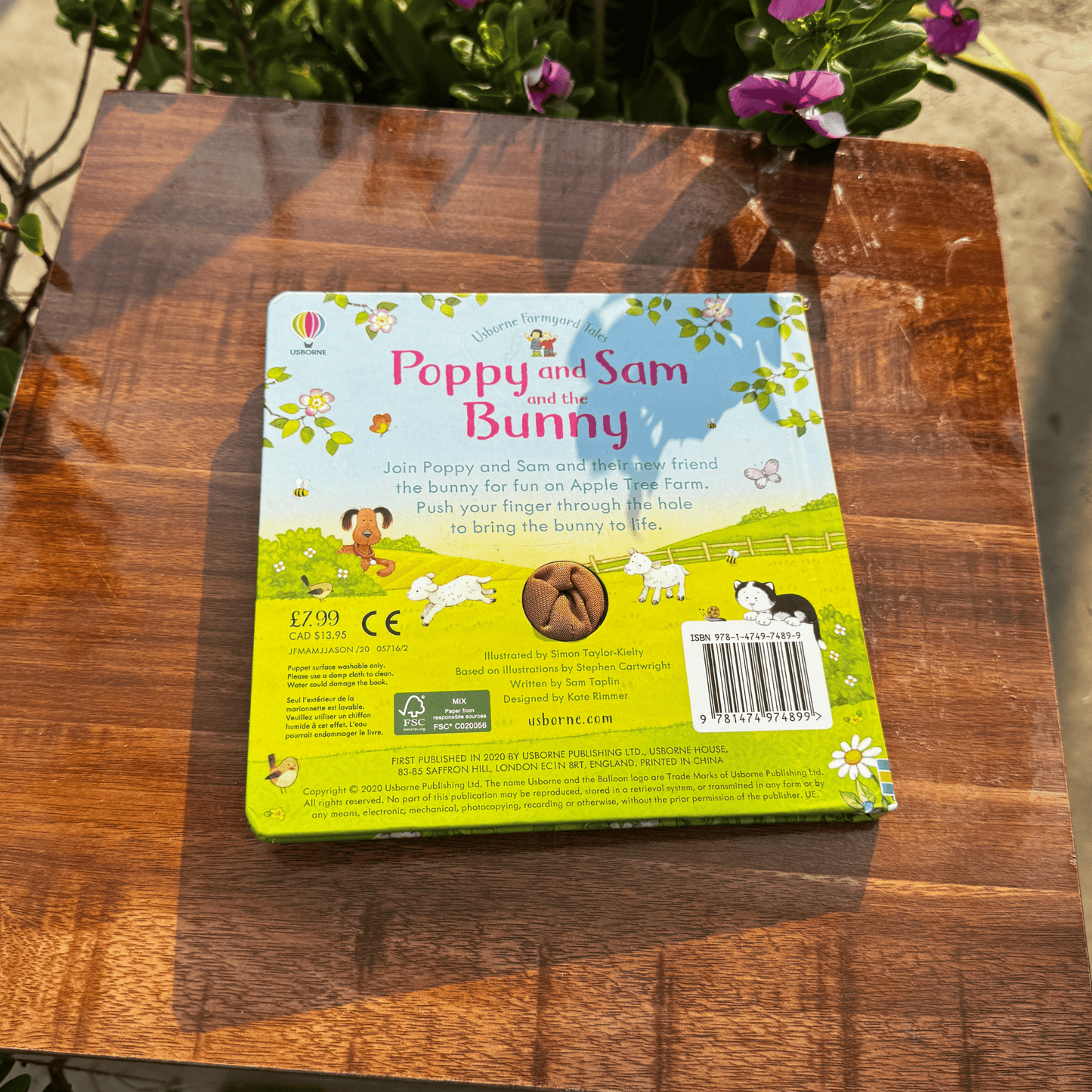 Poppy and Sam and the Bunny (Poppy and Sam Finger Puppet) (Farmyard Tales Poppy and Sam)