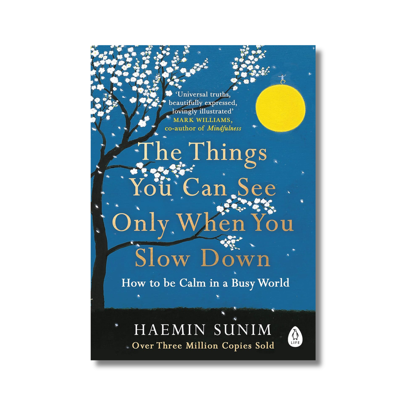 The Things You Can See Only When You Slow Down book cover
