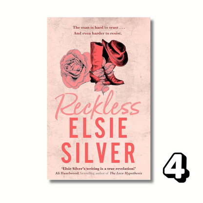 Chestnut Springs Combo: 5 Books By Elsie Silver (Paperback)