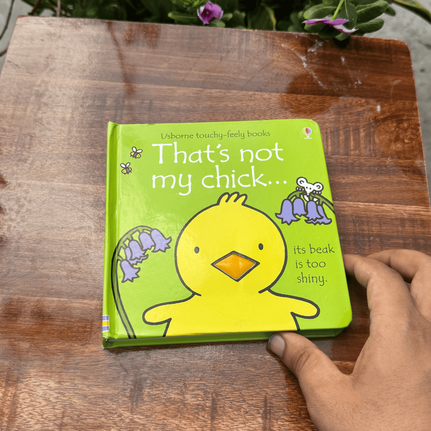 That's Not My Chick Book and Toy