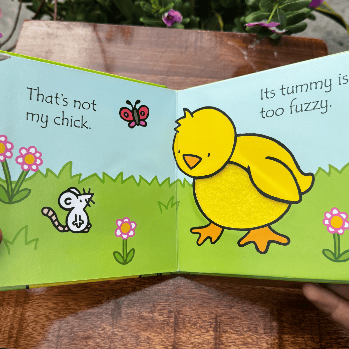 That's Not My Chick Book and Toy